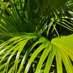男人搞日韩美女肛门动漫
